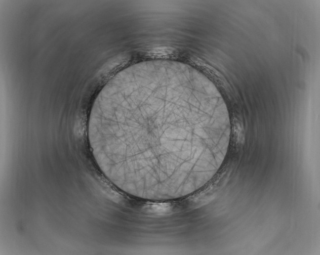 X0000111010665200907311053