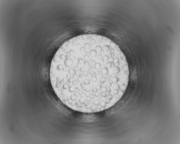 X0000111010666200907311053