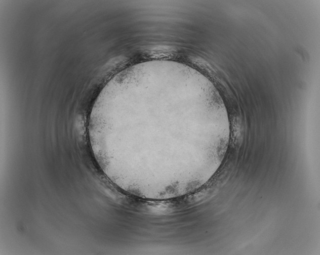 X0000111010667200907311053