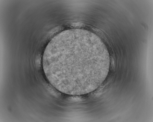X0000111010668200907311053