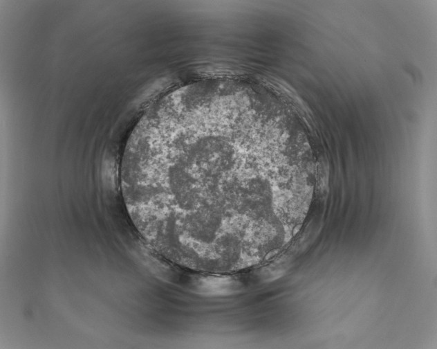 X0000111010669200907311053