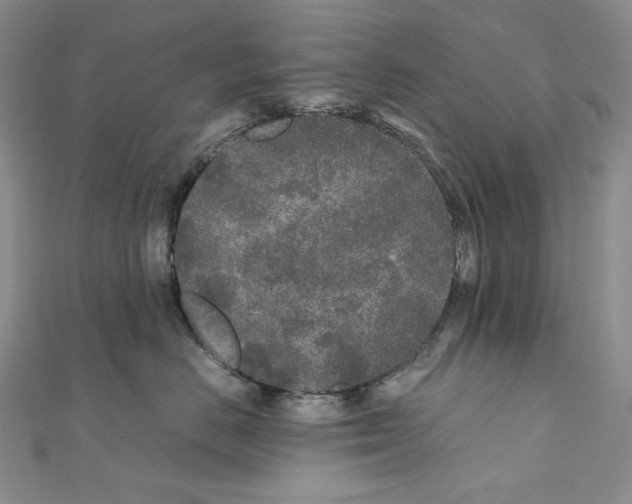 X0000111010670200907311053