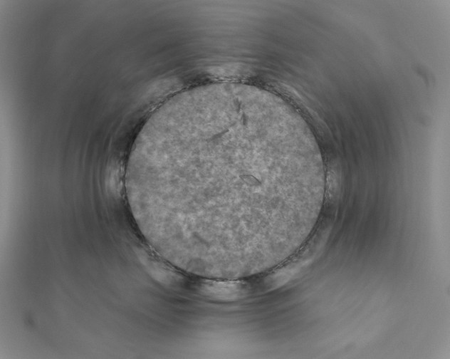 X0000111010671200907311053