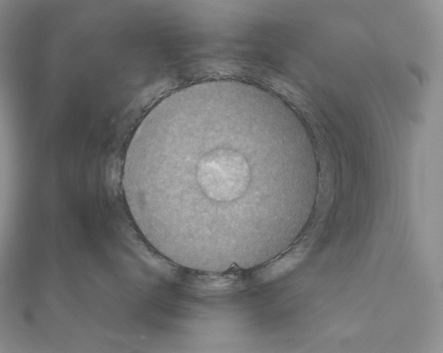 X0000111010672200907311053