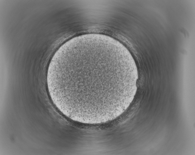 X0000111010673200907311052