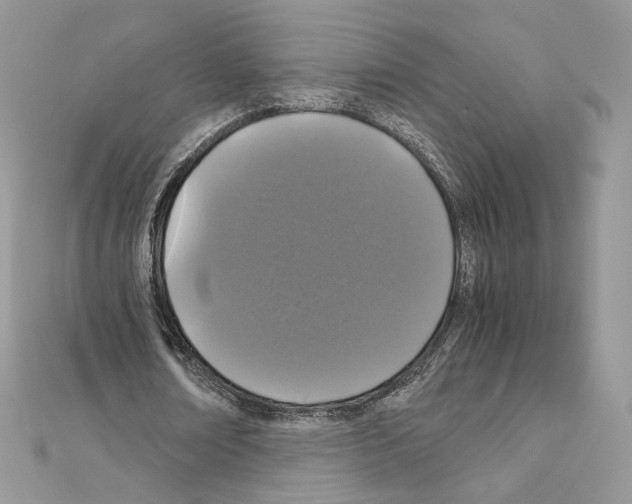 X0000111010674200907311052