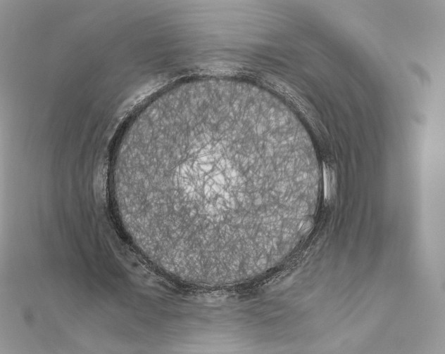 X0000111010675200907311052