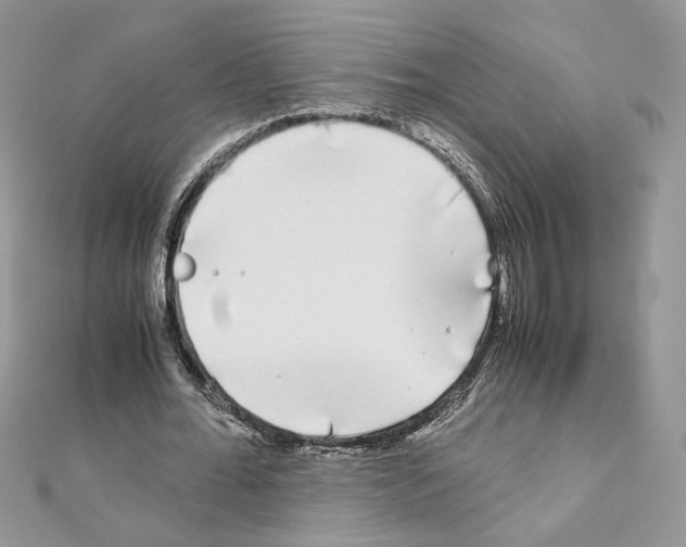 X0000111010676200907311052