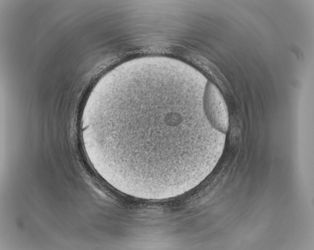 X0000111010677200907311052