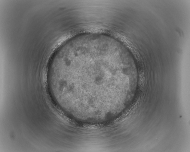 X0000111010679200907311052