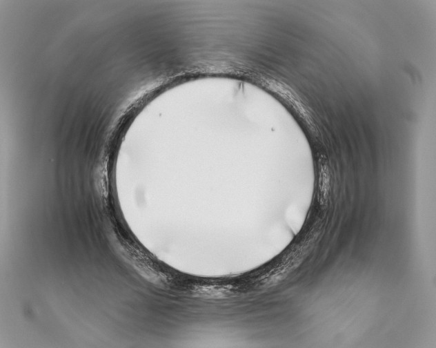 X0000111010680200907311052