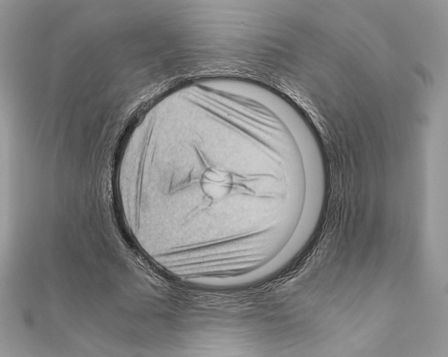 X0000111010681200907311052