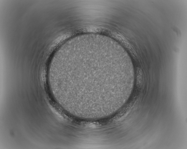 X0000111010683200907311052