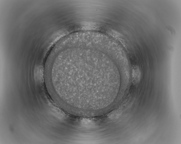 X0000111010684200907311052