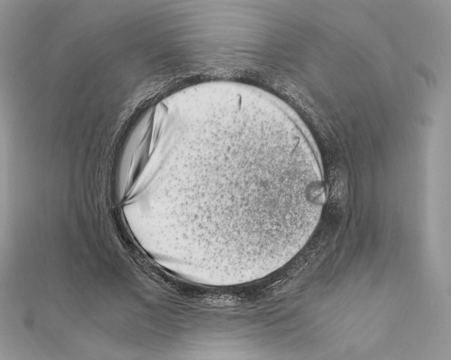 X0000111010685200907311052