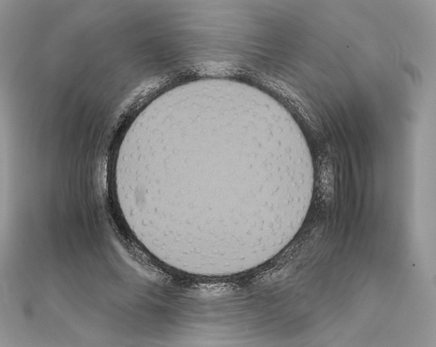 X0000111010686200907311052