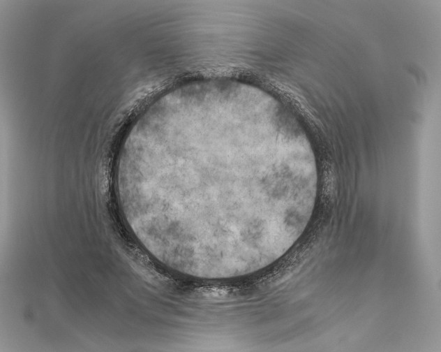 X0000111010687200907311052