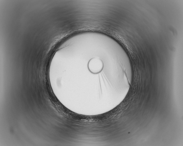 X0000111010688200907311052