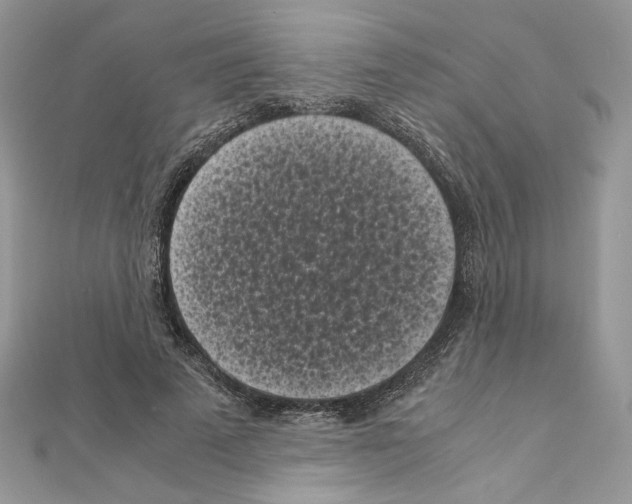 X0000111010689200907311052