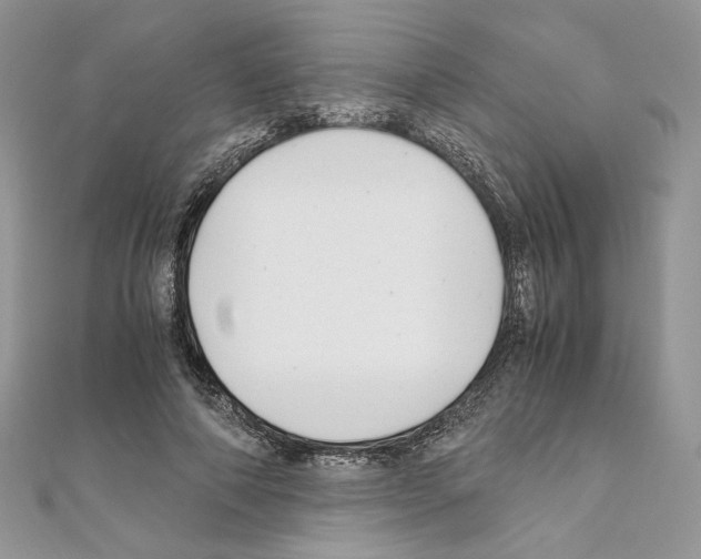 X0000111010690200907311052