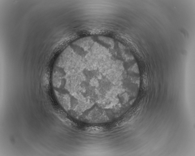 X0000111010691200907311052