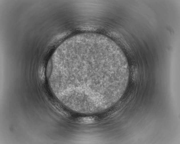 X0000111010692200907311052