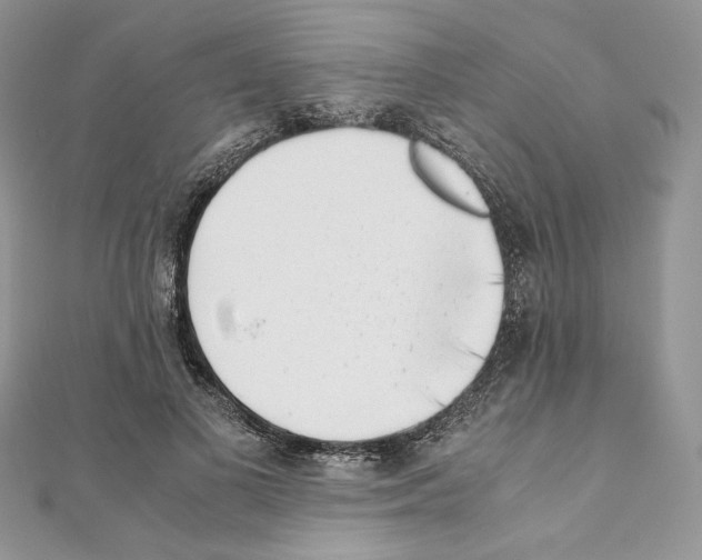 X0000111010693200907311052