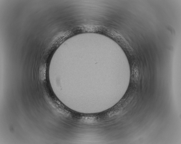 X0000111010694200907311052