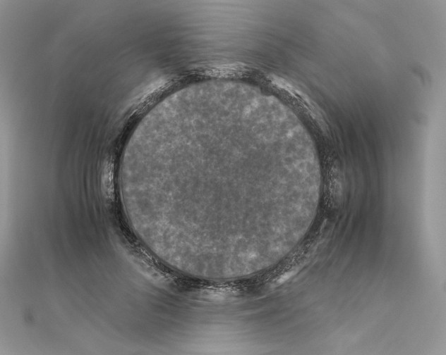 X0000111010696200907311052