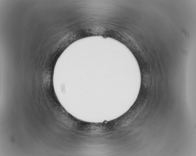 X0000111010697200907311052