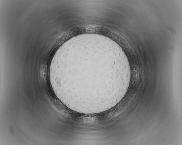 X0000111010698200907311052