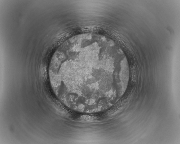 X0000111010699200907311052