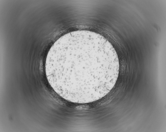 X0000111010700200907311052