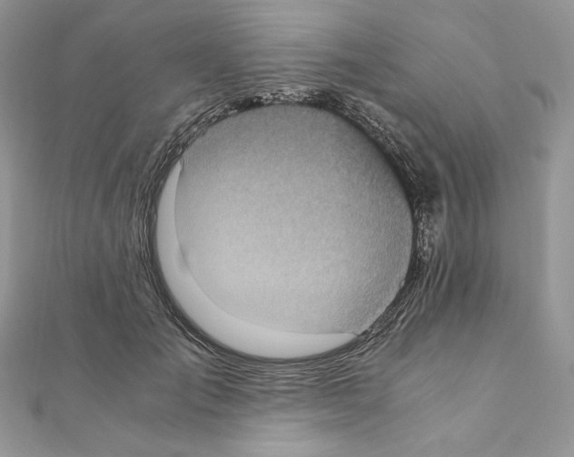 X0000111010701200907311052