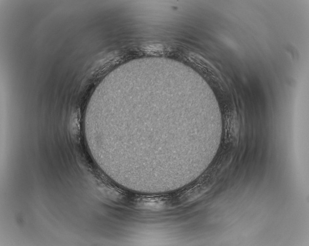 X0000111010702200907311052