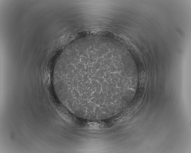 X0000111010703200907311052