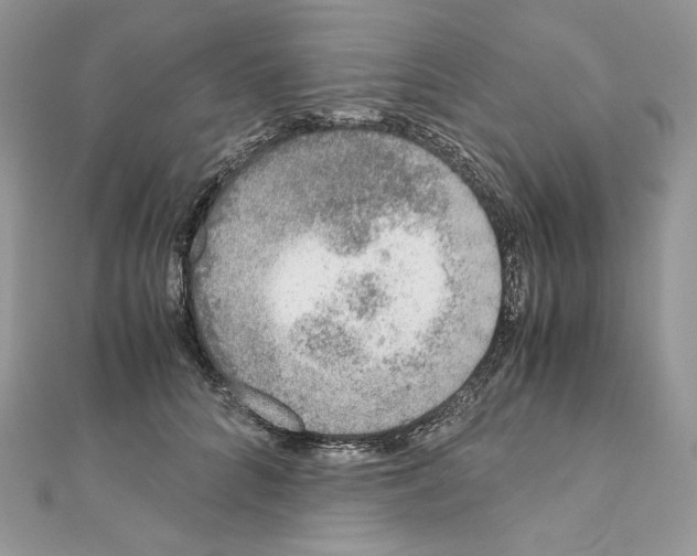 X0000111010704200907311052