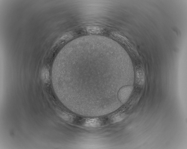 X0000111010705200907311052