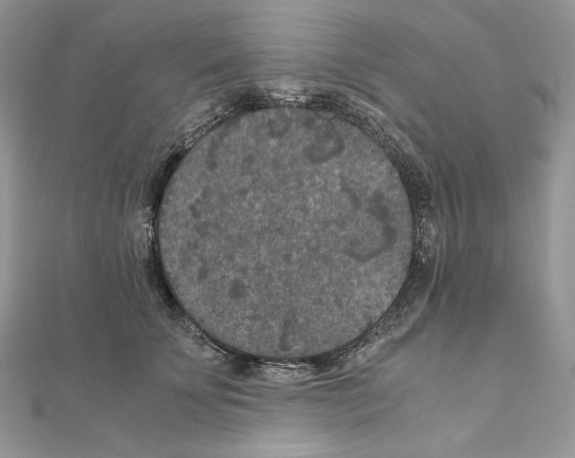 X0000111010707200907311052