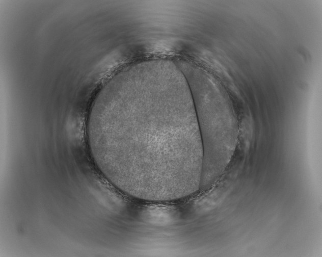 X0000111010708200907311052