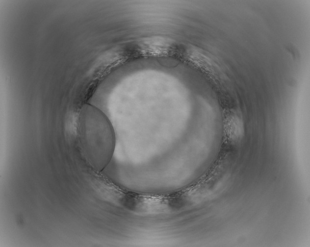 X0000111010709200907311052