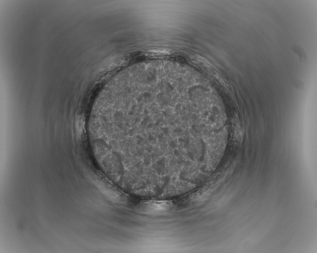 X0000111010711200907311052