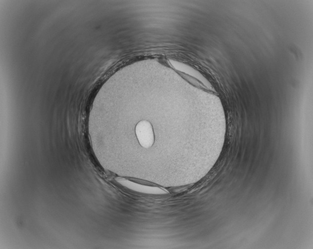 X0000111010712200907311051