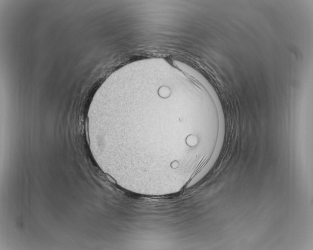 X0000111010713200907311051