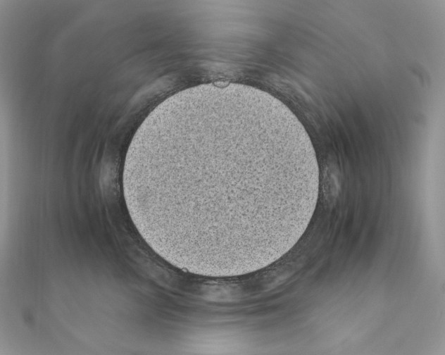X0000111010714200907311051