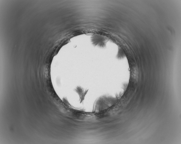 X0000111010715200907311051