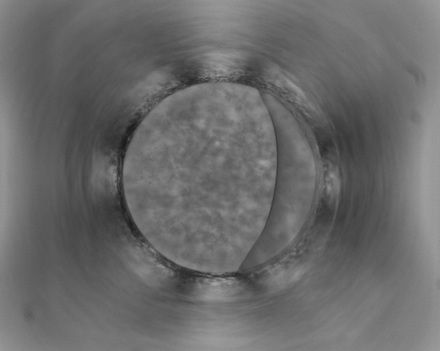 X0000111010716200907311051