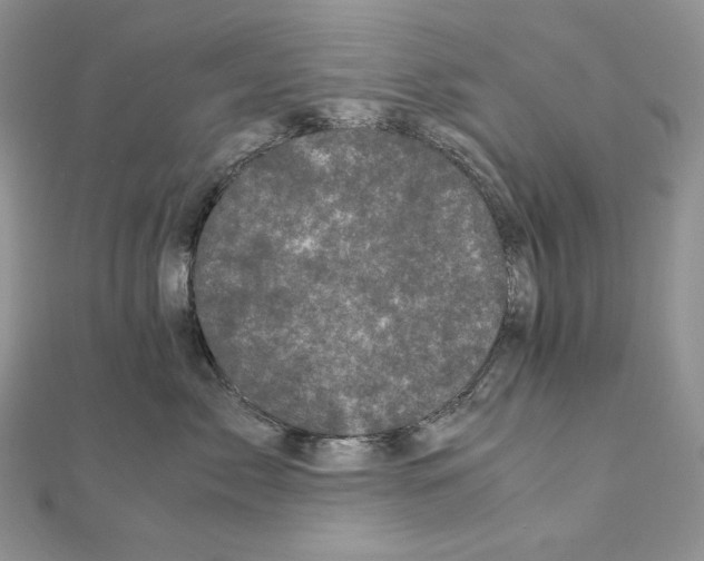 X0000111010717200907311051