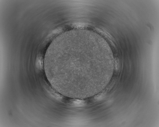 X0000111010718200907311051