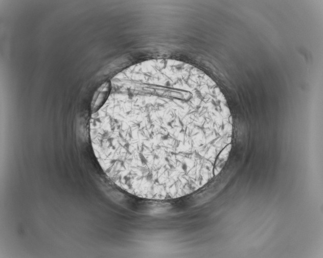 X0000111010719200907311051